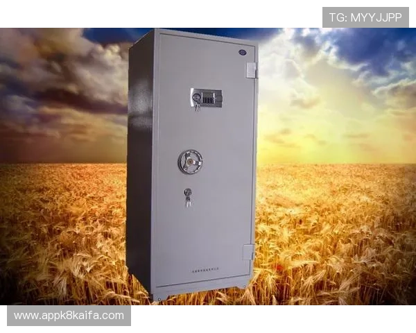 K8凯发网址娱乐平台的安全保障措施，确保每一位玩家的资金和个人信息安全